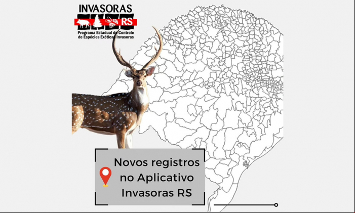Novos registros no aplicativo Invasoras RS
